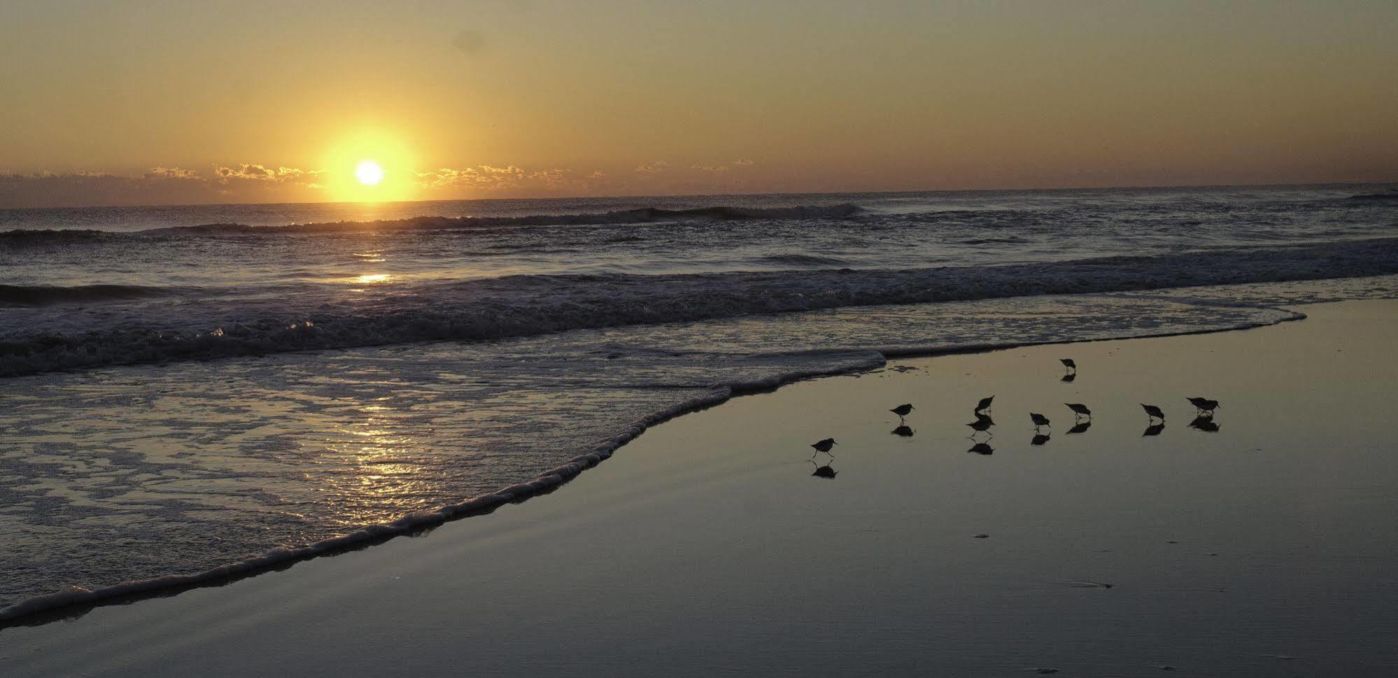 Club Sea Oats By Capital Vacations Motel Daytona Beach Shores Buitenkant foto